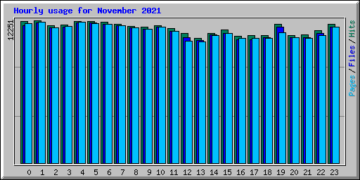 Hourly usage for November 2021