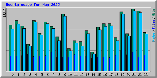 Hourly usage for May 2025