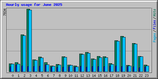 Hourly usage for June 2025