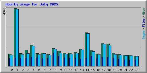 Hourly usage for July 2025