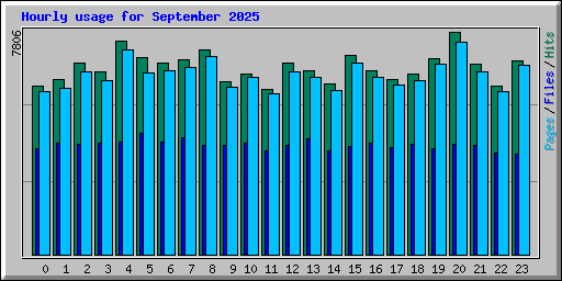 Hourly usage for September 2025