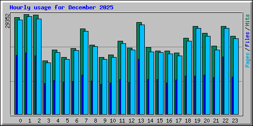 Hourly usage for December 2025