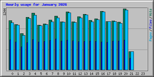Hourly usage for January 2026