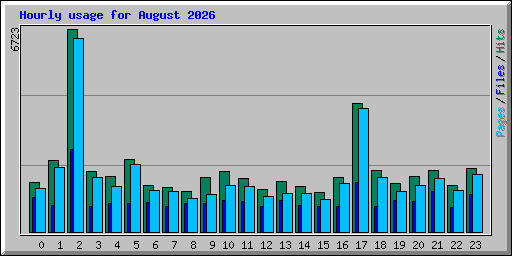 Hourly usage for August 2026